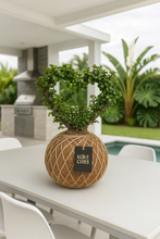 Load image into Gallery viewer, Jade, Dwarf  Kokedama (Portulacaria afra)