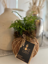 Load image into Gallery viewer, Rabbit Foot Fern Kokedama