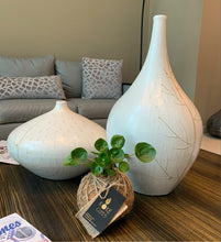 Load image into Gallery viewer, Pilea Chinese money  plant Kokedama
