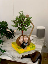 Load image into Gallery viewer, Jade, Dwarf  Kokedama (Portulacaria afra)