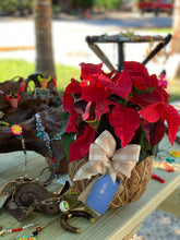 Load image into Gallery viewer, Poinsettia Plant Kokedama
