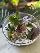 Load image into Gallery viewer, Glass Terrarium Bowl Amatista