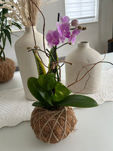 Load image into Gallery viewer, Mini Orchid Kokedama