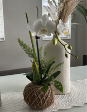 Load image into Gallery viewer, Small Phalaenopsis Orchid Kokedama