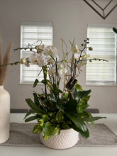 Load image into Gallery viewer, Orchids Arrangements 6