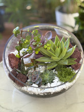 Load image into Gallery viewer, Glass Terrarium Bowl Amatista