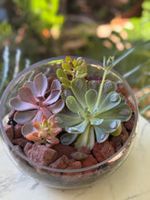 Load image into Gallery viewer, Glass Terrarium Bowl Amatista