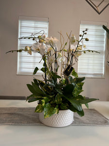 Orchids Arrangements 6