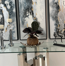 Load image into Gallery viewer, Calathea Dottie Kokedama