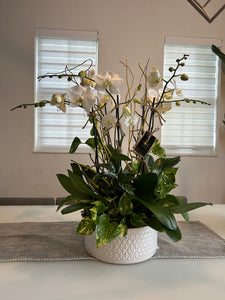 Orchids Arrangements 6