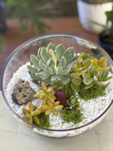 Load image into Gallery viewer, Glass Terrarium Bowl Amatista