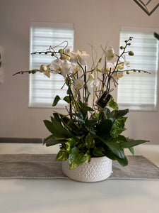 Orchids Arrangements 6