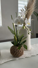 Load image into Gallery viewer, Small Phalaenopsis Orchid Kokedama