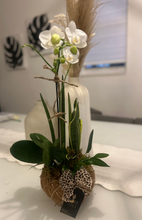 Load image into Gallery viewer, Orchids white Kokedama