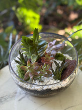 Load image into Gallery viewer, Glass Terrarium Bowl Amatista