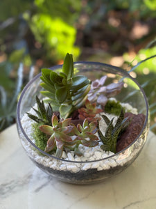 Glass Terrarium Bowl Amatista