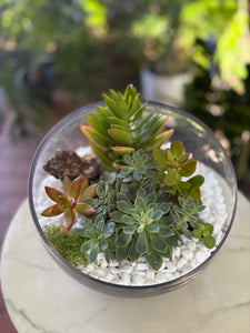 Glass Terrarium Bowl Amatista