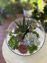 Load image into Gallery viewer, Glass Terrarium Bowl Amatista
