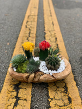 Load image into Gallery viewer, Succulent Garden in a Wood Pot Rustic