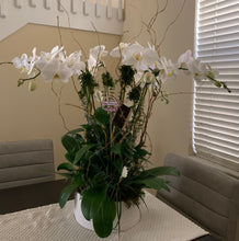 Load image into Gallery viewer, Orchids Arrangements 6