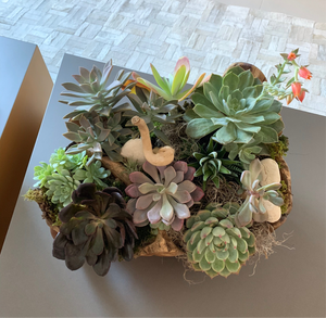 Succulent Garden in a Wood Pot