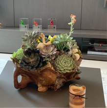 Load image into Gallery viewer, Succulent Garden in a Wood Pot