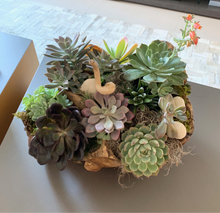 Load image into Gallery viewer, Succulent Garden in a Wood Pot