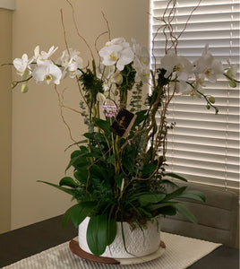 Orchids Arrangements 6