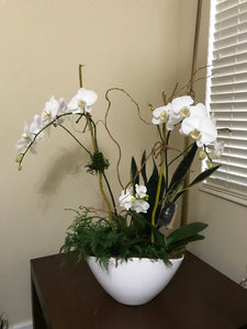 Orchids White Pot