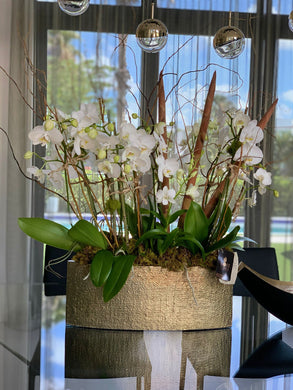 Orchids Arrangement