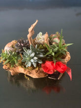 Load image into Gallery viewer, Wood Succulent Centerpiece / Suculentas en base de madera