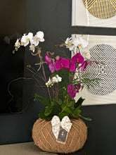 Load image into Gallery viewer, Orchids Crystal Kokedama