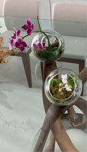 Load image into Gallery viewer, Orchids Esfera de Cristal