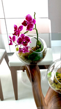 Load image into Gallery viewer, Orchids Esfera de Cristal
