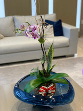 Load image into Gallery viewer, Single Orchids Kokedama
