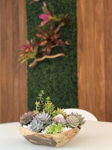 Succulents on Wood Base