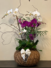 Load image into Gallery viewer, Orchids Crystal Kokedama