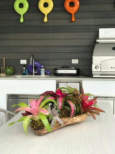Bromeliads Flower Arrangement in Wood Bowl