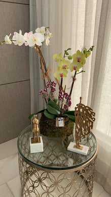 Orchids White and Yellow Kokedama