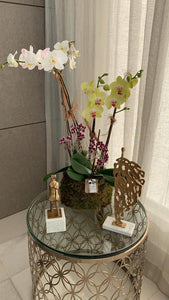Orchids White and Yellow Kokedama