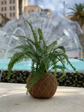 Load image into Gallery viewer, Fern Kokedama