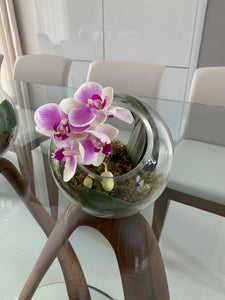 Orchids Esfera de Cristal