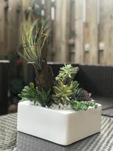 Load image into Gallery viewer, White Ceramic Succulent Planter
