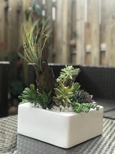 White Ceramic Succulent Planter