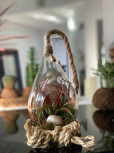 Load image into Gallery viewer, Terrarium Diamante