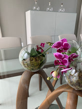 Load image into Gallery viewer, Orchids Esfera de Cristal