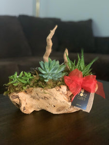 Wood Succulent Centerpiece / Suculentas en base de madera