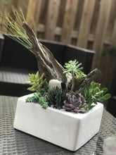 Load image into Gallery viewer, White Ceramic Succulent Planter