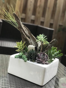 White Ceramic Succulent Planter