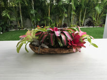Load image into Gallery viewer, Bromeliads Flower Arrangement in Wood Bowl